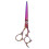 (Straight Scissors) Dunne Schaar Professionele Kapper Knipmes Salon 1
