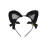 Kattenoormet Bellen 1