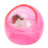 Compact Wearable Nail Brush Cleaner 5