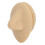 Soft Silicone Human Nose Acupuncture Teaching Model 2