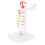 Cervical Vertebra Model Spine Nerves Anatomical for Classroom Study 3
