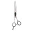 (Cutting Scissors) Edelhaar-Haarschere einstellbar professionell silber 1
