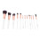 12-delige Draagbare Make-up Borstelset Oogschaduw Blush 5