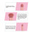 5D Make-up Kwasten Set Foundation Oogschaduw 3