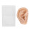 Soft Silicone Ear Acupuncture Practice Model 1