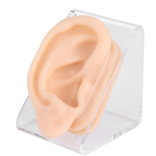 Soft Silicone Ear Acupuncture Practice Model 2