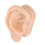 Soft Silicone Ear Acupuncture Practice Model 5