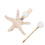 (White) 2x Falsche Perlen-Seestern-Haarclips, Weiß 4