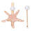 (Pink) 2x Falsche Perlen-Seestern-Haarclips, Weiß 3