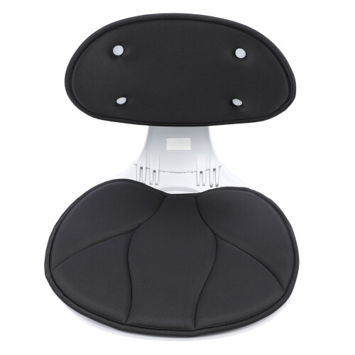 Taillenstütze für Bürostühle, ergonomisch, 1