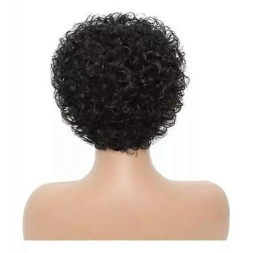 Short Thick Curly Lace Wig Black 2