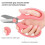 Premium Steel Garden Pruning Shears 2