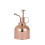 (silver)Stainless Steel Plant with Top Pump Small Watering Can 4