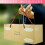 Premium Navy Silver Balloon Blue Balloon Arch Kit 5
