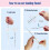 Beading Funnel-Clay Beading Tool Kit, 2 Piece Beading Tools for Jewelry Making Beading Needle, Brac 2