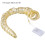 Glow Ribbon Lights LED String Lights for Weddings, Garden,-02 4