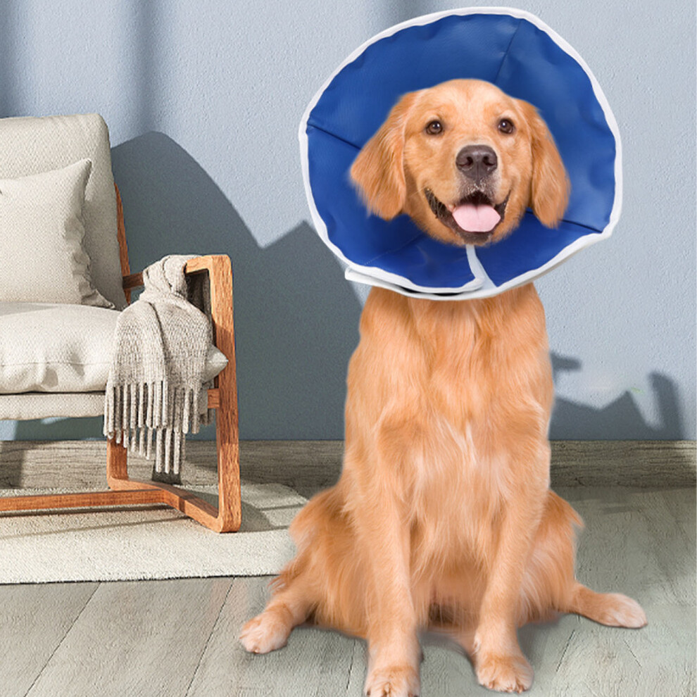 Premium Pet Recovery Collar for Cats & Dogs Bite & Scratch Resistant 1#-image-OPC-PMHCCGH-NEW