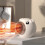 (EU plug, White) Mini Fan Heaters Advanced Safety Features Snug Dorm Life 3