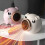 (EU plug, Pink) Mini Fan Heaters Advanced Safety Features Snug Dorm Life 2