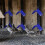 Pack of 20 lightweight plastic perches for pigeons 5