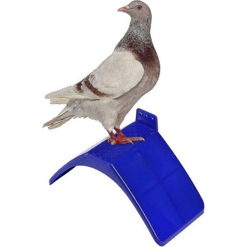 Pack of 20 lightweight plastic perches for pigeons 2