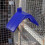 Pack of 20 lightweight plastic perches for pigeons 4