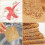 Set of 20 round cork coasters 4