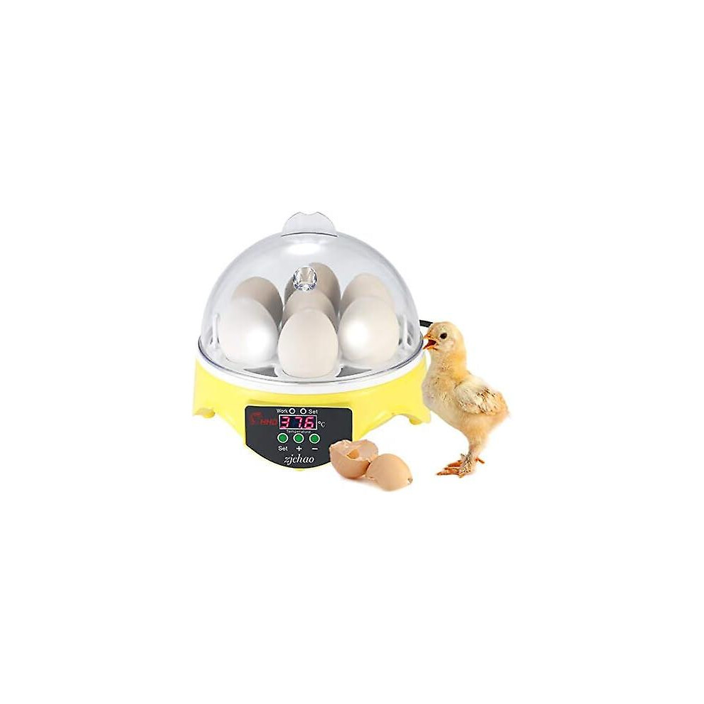 Kikidex (As Show, One Size) Automatic 7 Egg Incubator With Digital Temperature Control - For Poultry Farming - Chicken Duck Quail