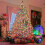 Indoor/Outdoor String Light, with Memory Controller,200 LEDs 66Feet Waterproof Twinkle Christmas Lig 4