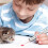 Laser Pointer for Cats USB Rechargeable, Cat Dog Interactive Lazer Toy, Pet Training Exercise Chaser 4