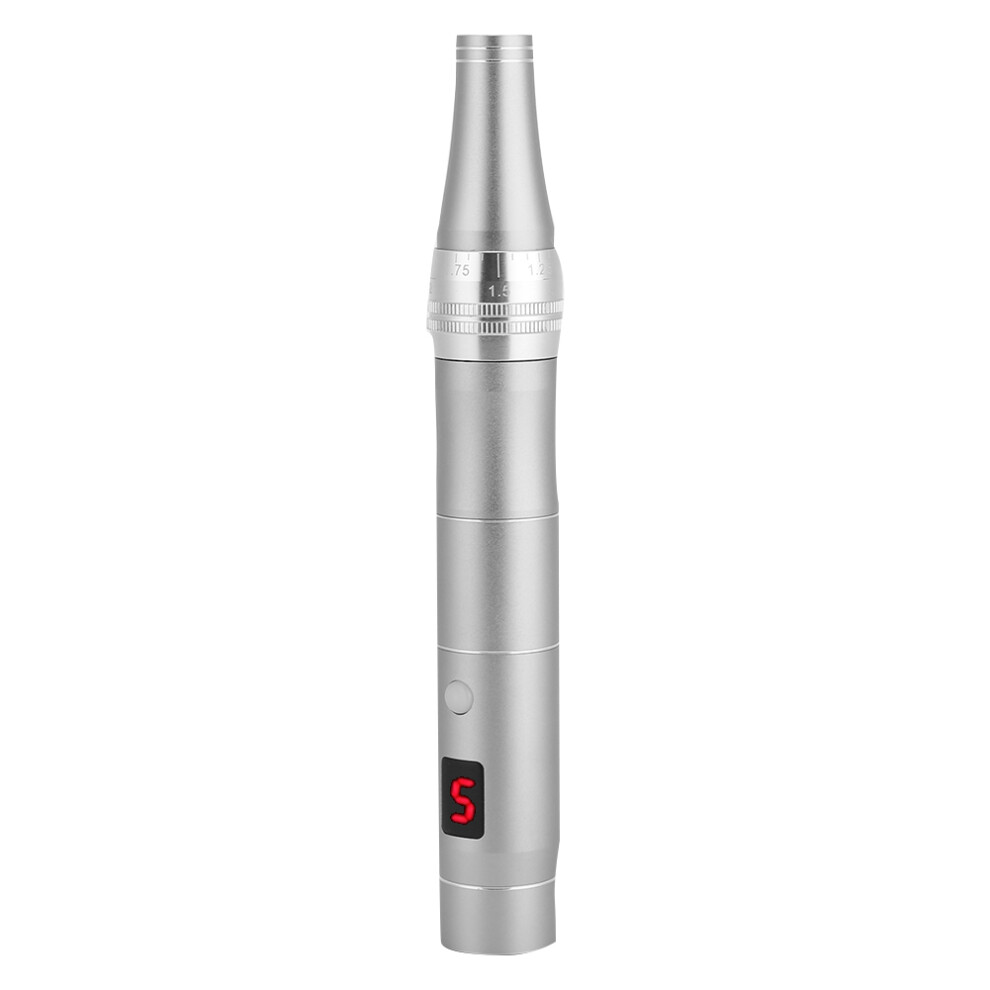 Silver Electric Micro Needle Pen Anti Aging Skin Repairing Spot Removing Beauty Machine( )