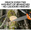 (7M/23FT) Manual Pole Saw Tree Pruner 2