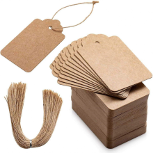 100pcs Kraft Paper Gift Tags with String, Blank Gift Bags Tags Price Tags(Brown)