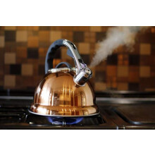 Stunning Copper Gold Colour Whistling Kettle 3.5L