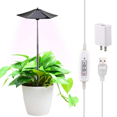 Umbrella Plant Growth Light