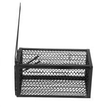 Mouse Mice Rat Rodent Animal Control Catch Bait Humane Live Traps Hamster Cage