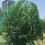 4x10m Anti Bird Net Garden Netting Tree Fruit Plant Protective Net Protecting Tool 5