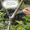 270mm Garden Branch Handheld Saw Pruning Precision Cutting 6