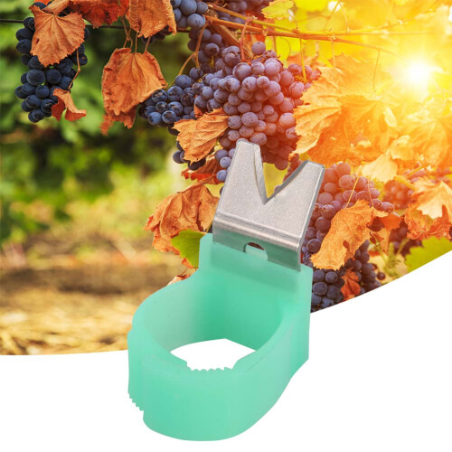 5Pcs/Set V Shape Vegetable Fruit Picker Garden Picking Ring Harvesting Cut Tool 2