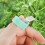 5Pcs/Set F Shape Vegetable Fruit Picker Garden Picking Ring Harvesting Cut Tool 5