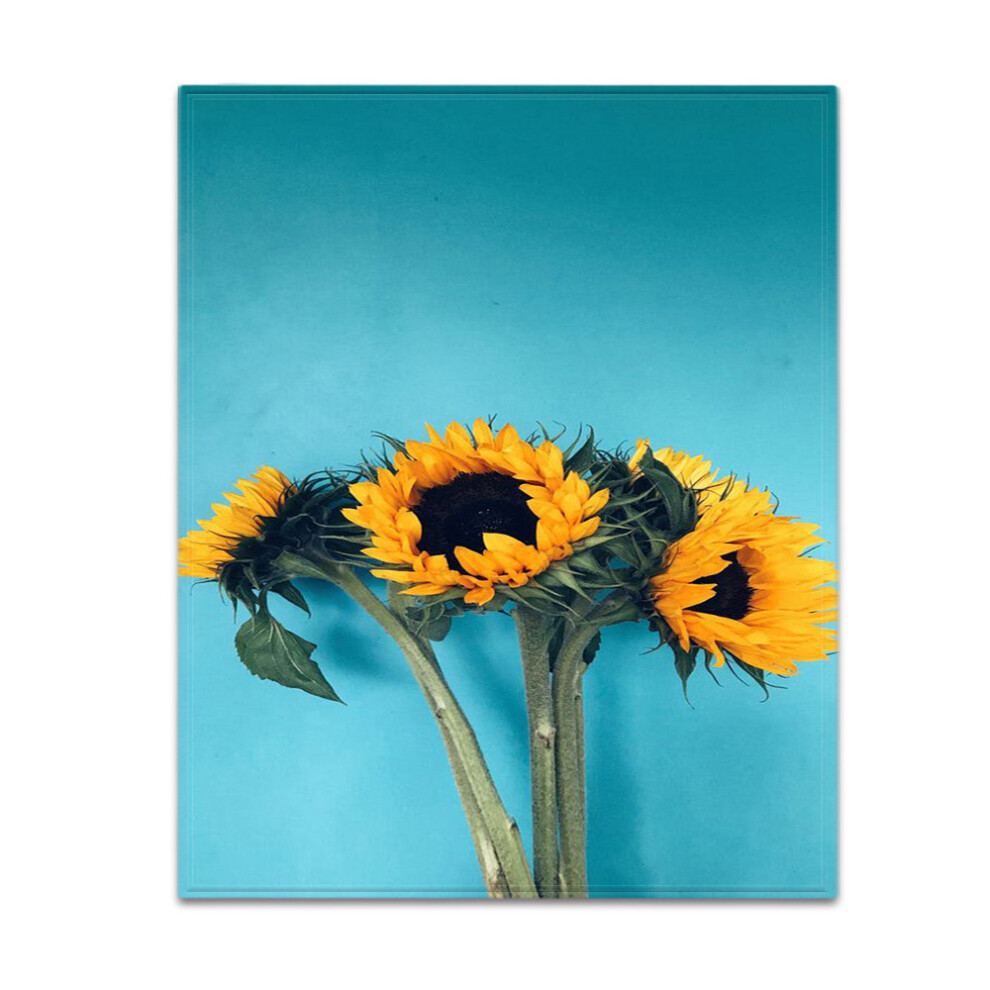 DIY Blanket Flower Autumn and Winter Warm Sofa Blanket HD Printed Double-Sided Air-conditioning Blanket-image-OPC-PMHFPTX-NEW