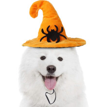 Halloween pet costume Halloween pet hat witch hat for dogs and cats pumpkin bat hat Halloween party headwear