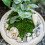 Moss Simulation Gardening Supplies Moss Simulation Plant Pot Material Forest Moss 6