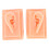 Siliconen Oormodel Acupunctuur Training Links Rechts 1