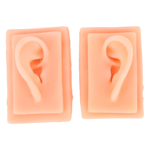 Siliconen Oormodel Acupunctuur Training Links Rechts