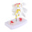 Anatomical Lumbar Disc Herniation Spine Training Model 4