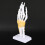 Verwijbaar handskeletmodel met voet 4