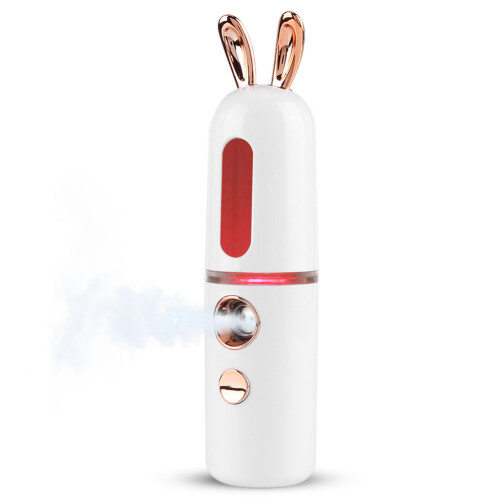 30ml Nano Mist Spuit Gezicht Hydraterend 2