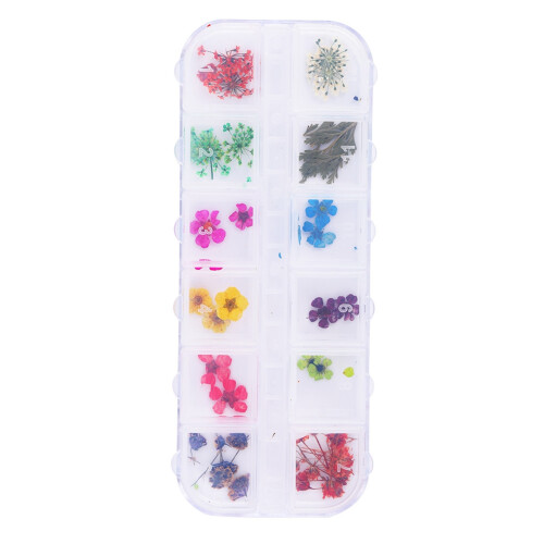 12-farbiges Dried-Flower-Nail-Art-Set 2