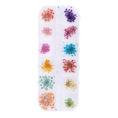 12-farbiges Dried-Flower-Nail-Art-Set 2